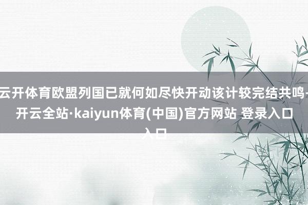云开体育欧盟列国已就何如尽快开动该计较完结共鸣-开云全站·kaiyun体育(中国)官方网站 登录入口
